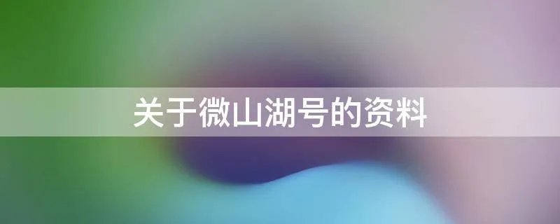 关于微山湖号的资料