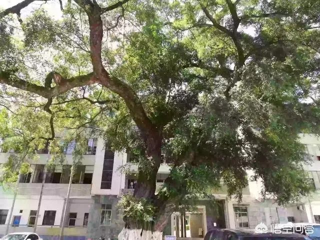 为什么说河源市和平县是个好地方?