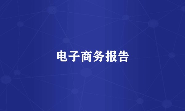 电子商务报告