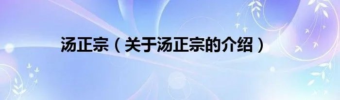 汤正宗（关于汤正宗的介绍）