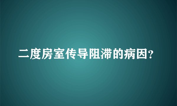 二度房室传导阻滞的病因？