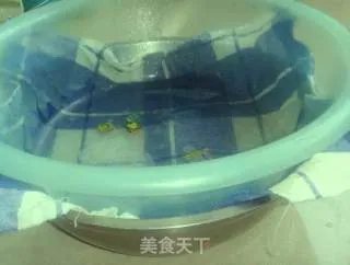 生绿豆芽