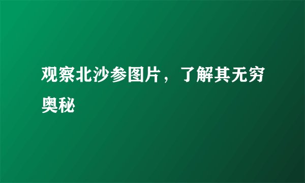 观察北沙参图片,了解其无穷奥秘