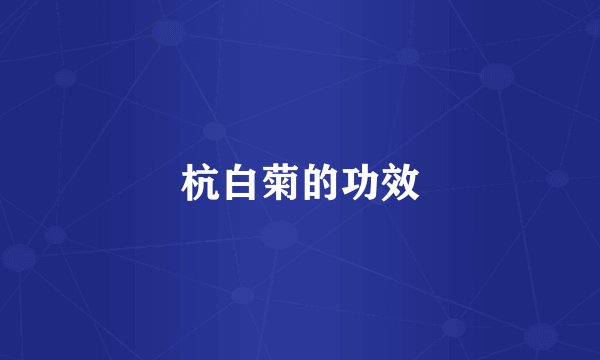 杭白菊的功效