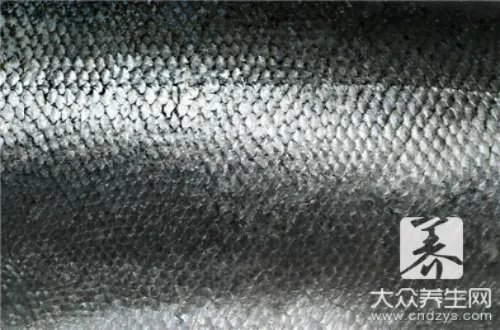 鲨鱼皮泳衣