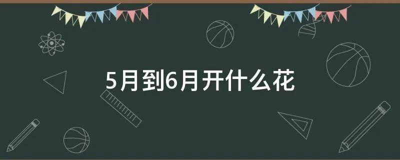 5月到6月开什么花
