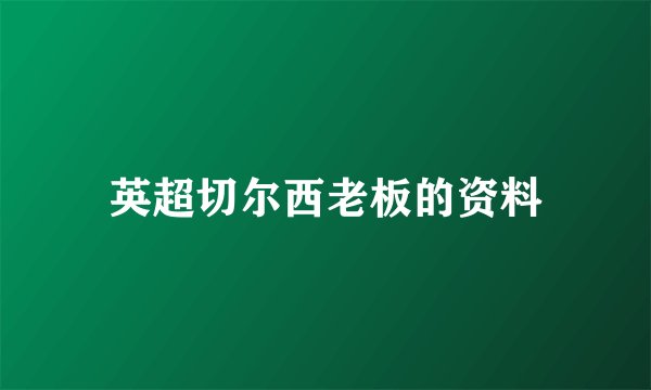 英超切尔西老板的资料