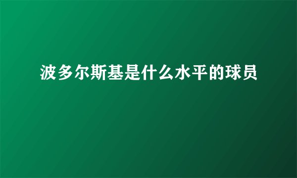 波多尔斯基是什么水平的球员