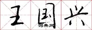 王国兴