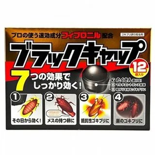蟑螂屋推荐