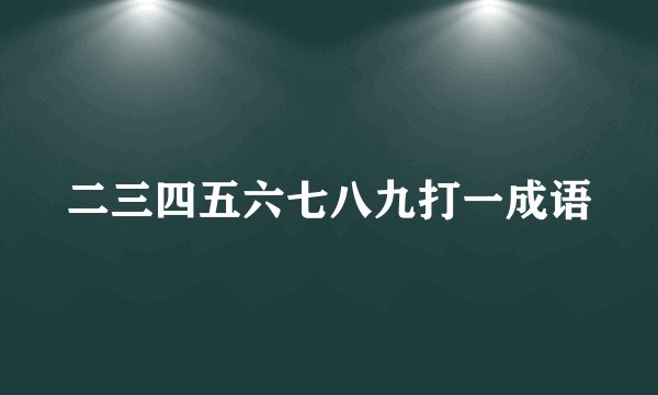 二三四五六七八九打一成语