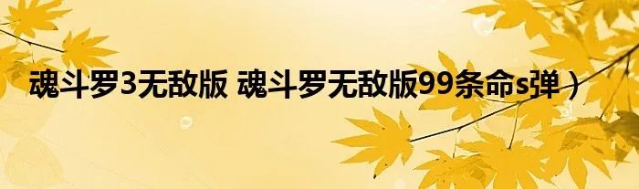 魂斗罗3无敌版 魂斗罗无敌版99条命s弹）