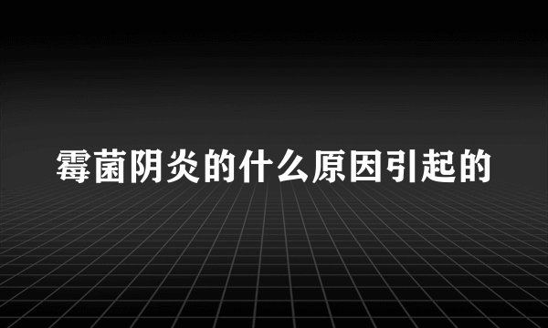 霉菌阴炎的什么原因引起的