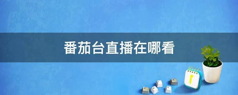 番茄台直播在哪看