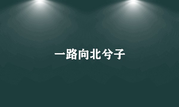 一路向北兮子