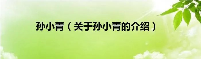 孙小青（关于孙小青的介绍）