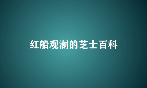 红船观澜的芝士百科