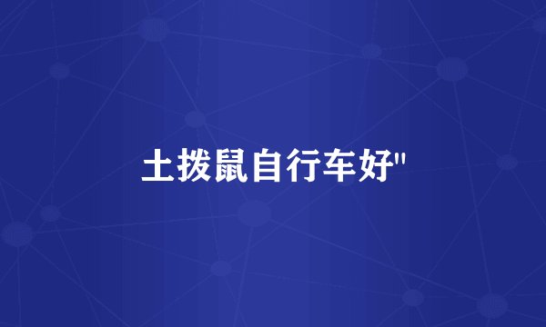 土拨鼠自行车好