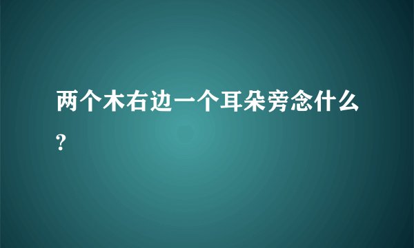 两个木右边一个耳朵旁念什么?