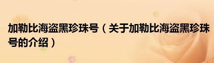 加勒比海盗黑珍珠号（关于加勒比海盗黑珍珠号的介绍）