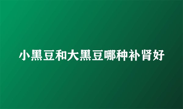 小黑豆和大黑豆哪种补肾好