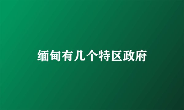 缅甸有几个特区政府