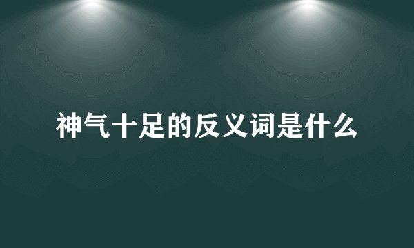 神气十足的反义词是什么