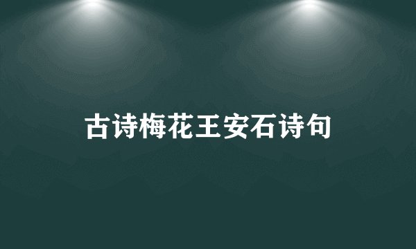 古诗梅花王安石诗句