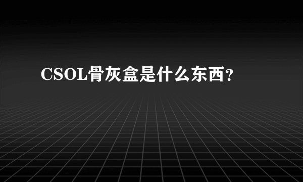 CSOL骨灰盒是什么东西？