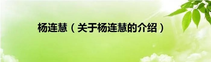 杨连慧（关于杨连慧的介绍）