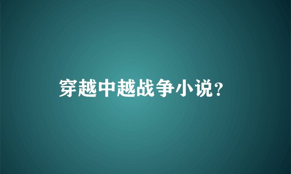 穿越中越战争小说?