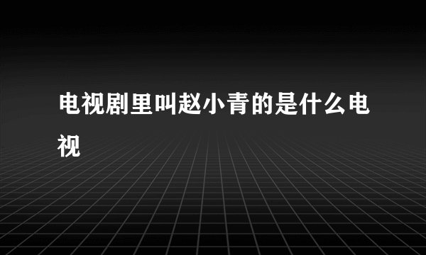 电视剧里叫赵小青的是什么电视