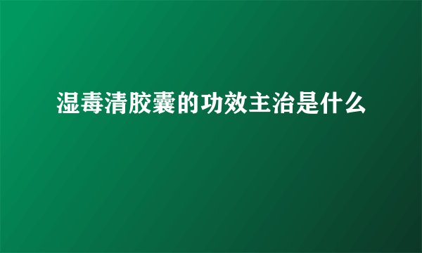 湿毒清胶囊的功效主治是什么