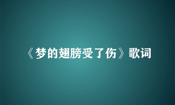 《梦的翅膀受了伤》歌词