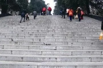 暴走漫画公开道歉,道歉有哪些方式?