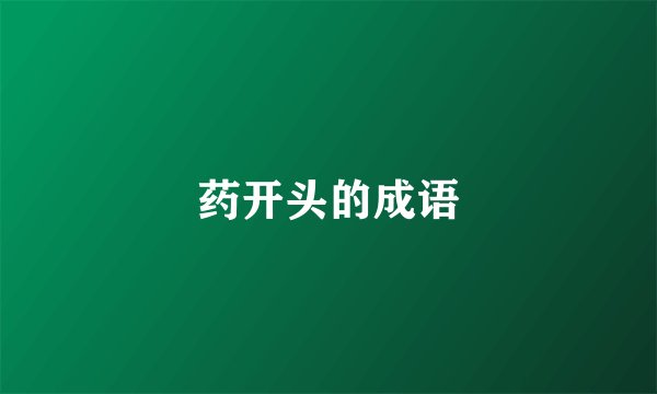药开头的成语