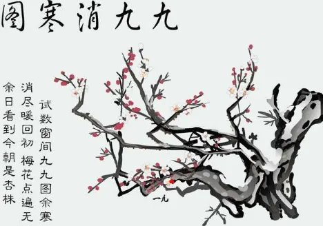 请问:今天是几九了，第几天？