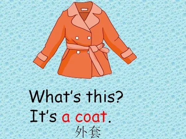 coat是什么意思中文