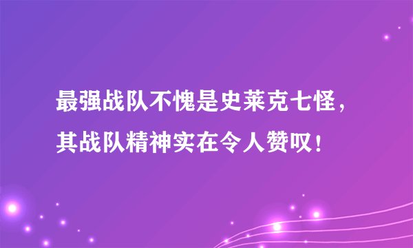 最强战队不愧是史莱克七怪，其战队精神实在令人赞叹！