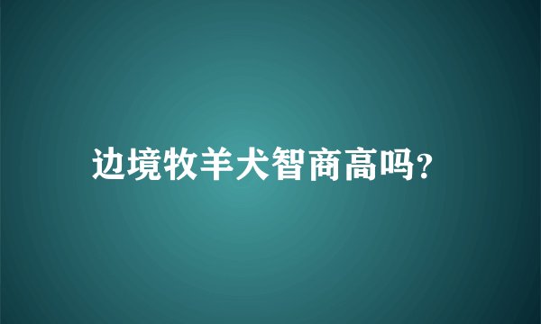 边境牧羊犬智商高吗？