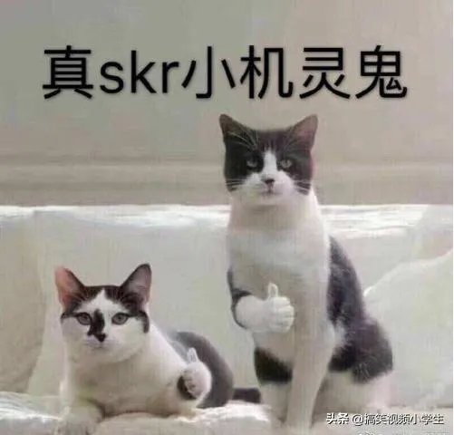 有没有和老婆出门办事发生的糗事或者搞笑的段子呢?