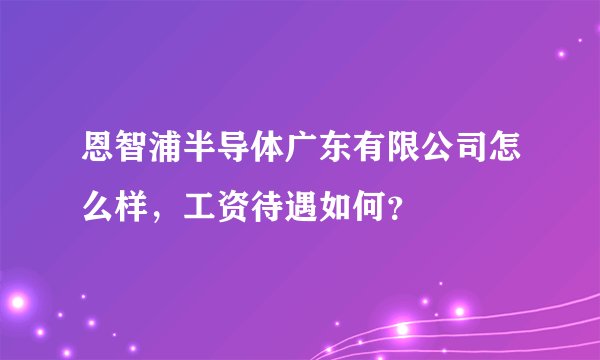 恩智浦半导体广东有限公司怎么样,工资待遇如何?