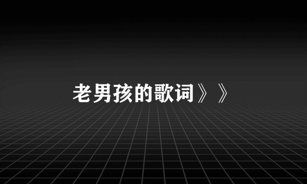 老男孩的歌词》》