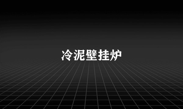 冷泥壁挂炉