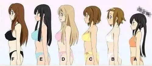 胸围换算