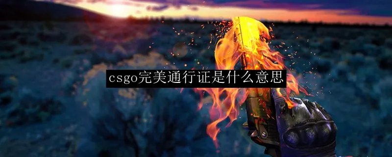 csgo完美通行证是什么意思