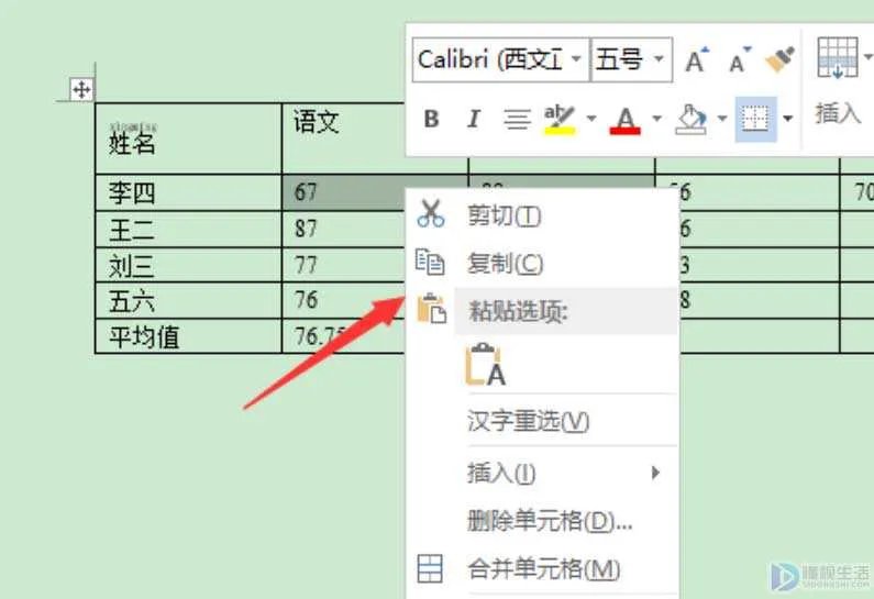 word为什么不能复制粘贴