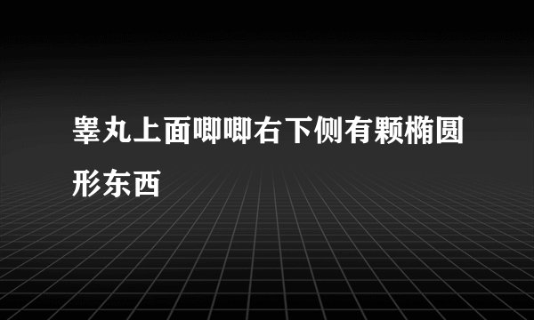 睾丸上面唧唧右下侧有颗椭圆形东西