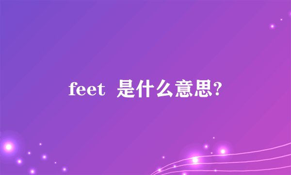 feet  是什么意思?