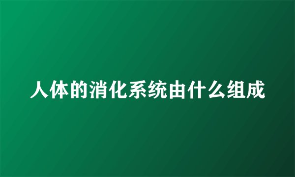 人体的消化系统由什么组成